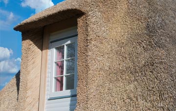 Mochdre thatch roof disadvantages