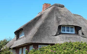 thatch roofing Mochdre