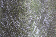 Mochdre fibreglass roof work